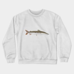 Tigar Shovelnose Catfish Crewneck Sweatshirt